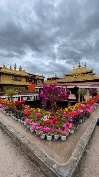 拉薩/布達拉宮-札達/古格王朝遺址皮央東嘎遺址-古寺廟2898540