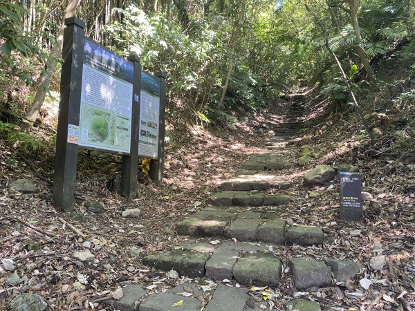 2024/09/16 天母古道（水管路） 紗帽山2884405