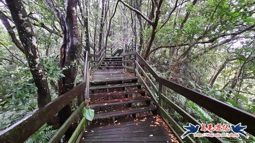 【台北市】南港茶廠-畚箕湖山-深按頭山西峰-土庫岳-山豬窟尖-更寮古道