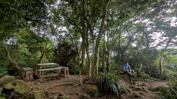 114.08.09溪洲山-新溪洲山之旅2856798