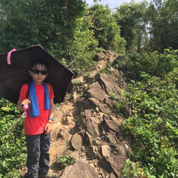 玉山山脈尾稜旗尾山582851