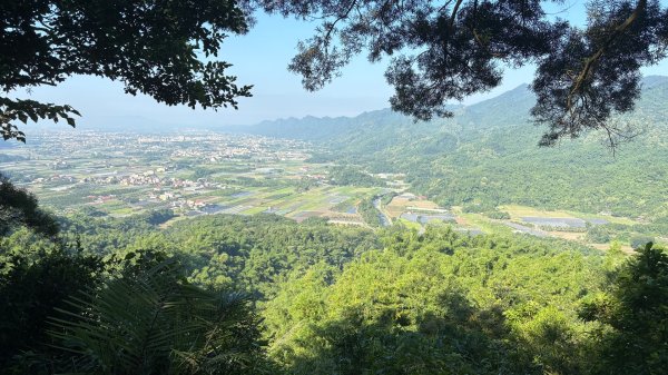 美濃雙溪樹木園（九芎林山2905630