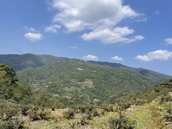 小格頭越嶺坪林2738375