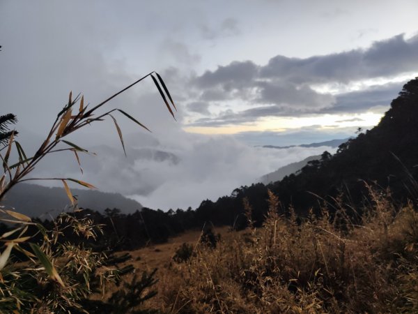 1/1元旦雪主東2681441