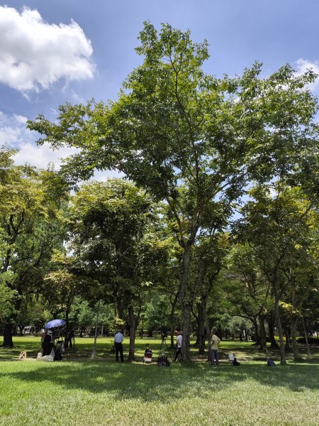 大安森林公園、港墘公園、文德三號公園【走路趣尋寶】【臺北健走趣】2549697