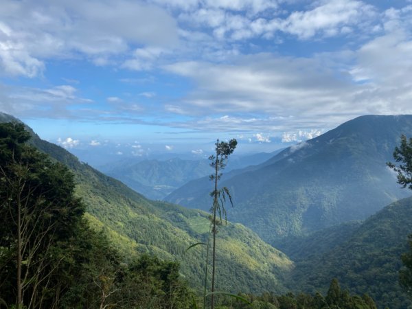 西巒大山。二訪獨享之未完待續1501089