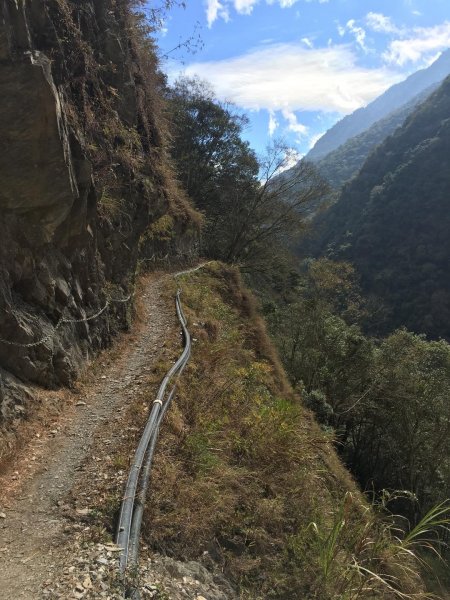 美哉！八通關雲龍瀑布步道509023