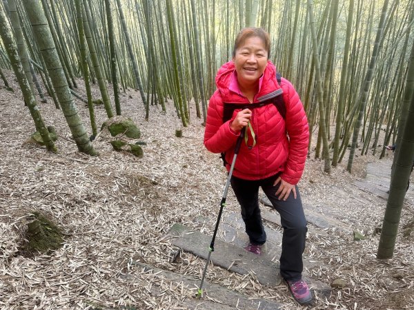 嘉南雲峰、九穹神木3014466