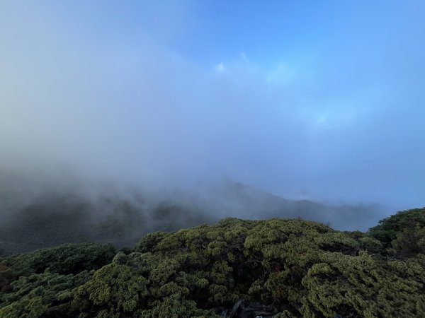 一日小O聖 2024 11/222865485