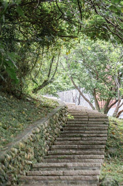台北大縱走第一段：台北藝術大學-二子坪（緩步爬升的生態步道）1713869