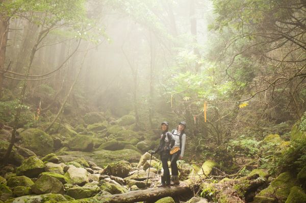 2018.06.16 加里山(大坪)352502