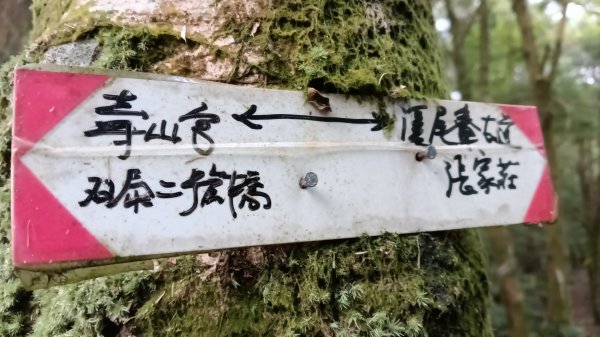 雙溪區溪尾寮古道-藤寮坑古道O型3114500