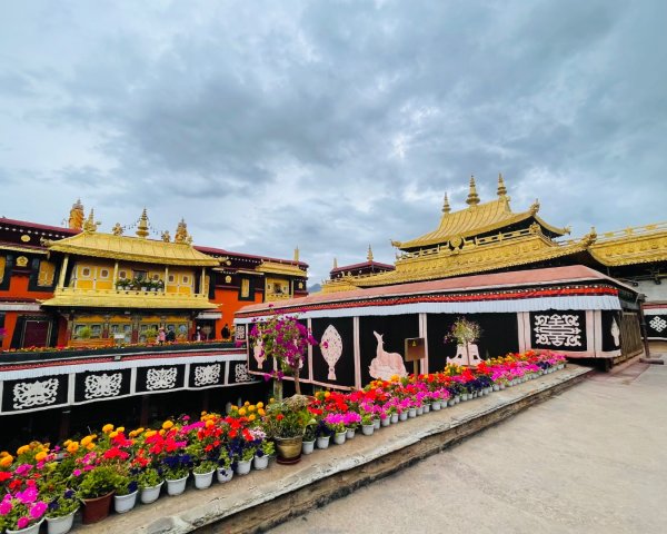 拉薩/布達拉宮-札達/古格王朝遺址皮央東嘎遺址-古寺廟2898541