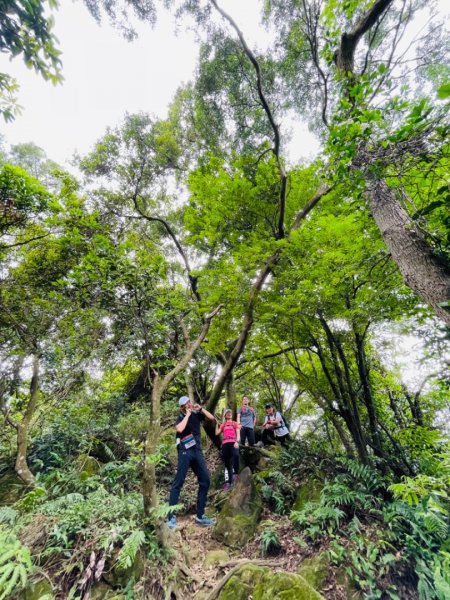 鳶尾山，鳶山，彩壁1686627