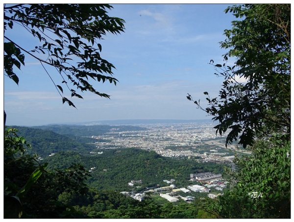 三汀山、埤頭山、觀雲嶺連走1903197