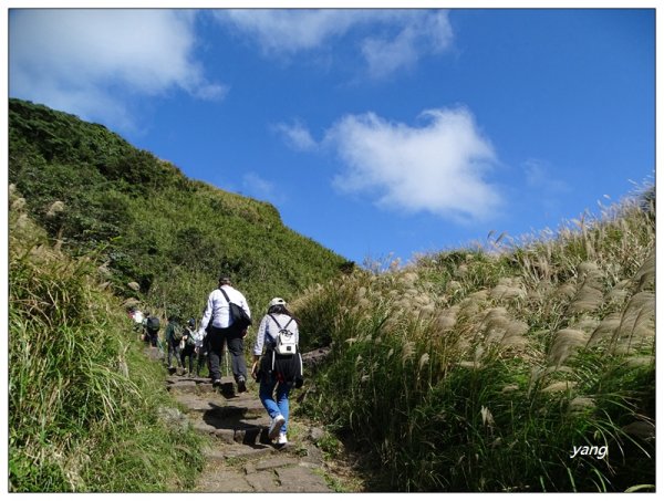 七星山主、東峰/芒花1152354