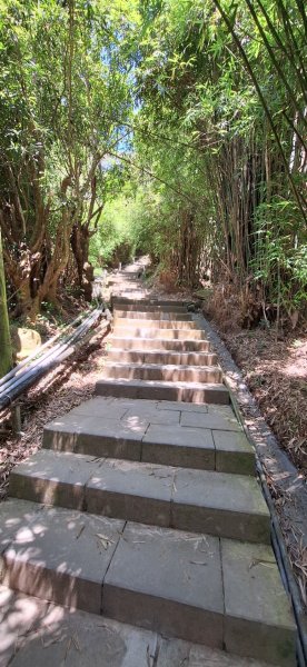 【2024觀音觀鷹尋寶任務】一日走完七條步道完成!2508413