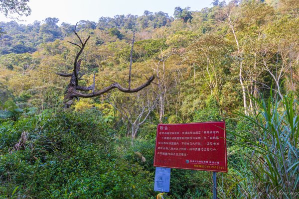 日月潭最高峰-水社大山3025297
