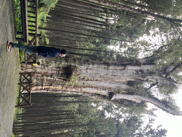 20240910～20240912_玉山行2855586