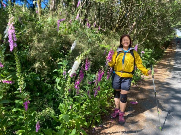南投信義鄉東埔山、東埔山草原步道、塔塔加遊客中心2815148