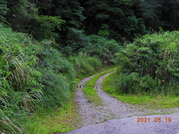 宜蘭 南澳 安平坑林道 - 大白山1417272