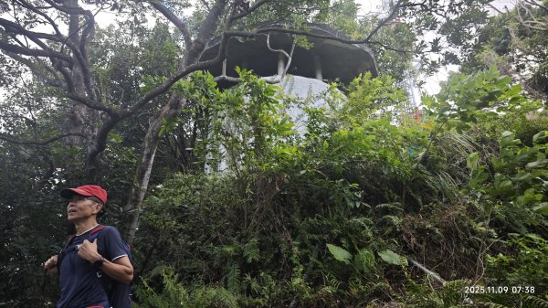 20251109 士林站到大湖站(福山宮_腰繞_燕溪古道_翠山步道_龍船岩_大溝溪)2932316