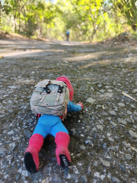 2023.12.24 旗尾山2838043