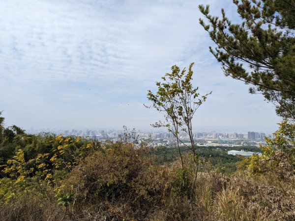 2023-02-04 大坑9、10號步道2792376