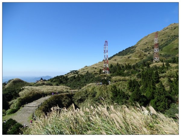 七星山連峰/芒花738705