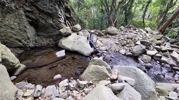 享受台北近郊陽明山小秘境楓林瀑布的清新芬多精2996549