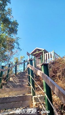 【南投魚池】後尖山步道2968311