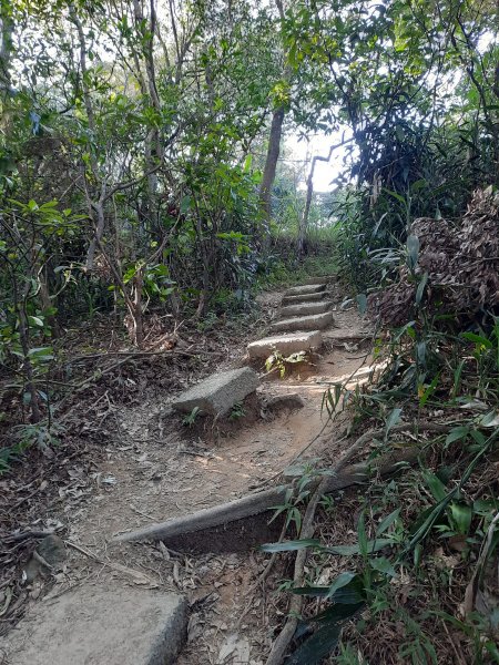 2022/12/24 士林劍潭山(小百岳)，老地方觀機平台，大直晴光豆花2000910