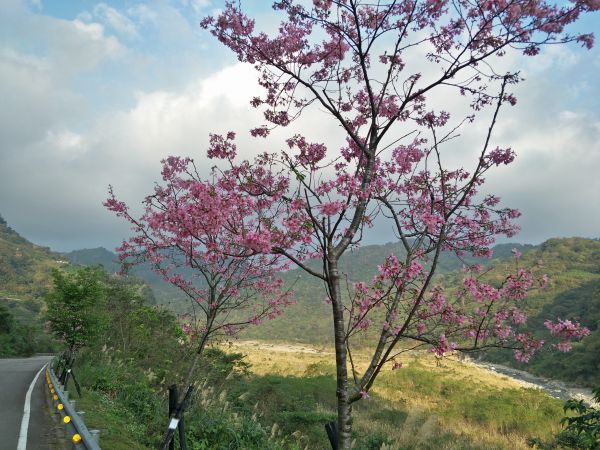 2018 03 03 洗水山&冬瓜山步道277690