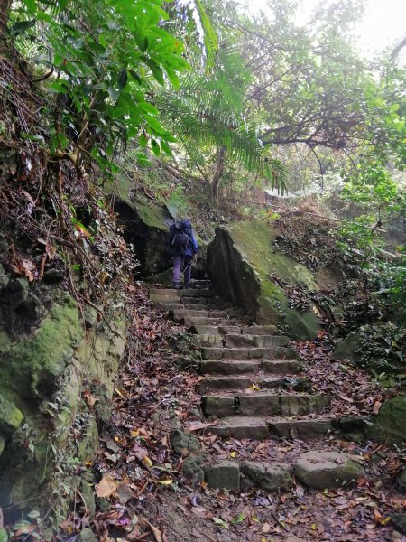 台南東山~山上尋悠。 #65小百岳崁頭山915979