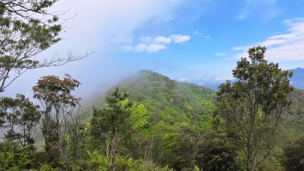 20250421_阿白縱走2774484