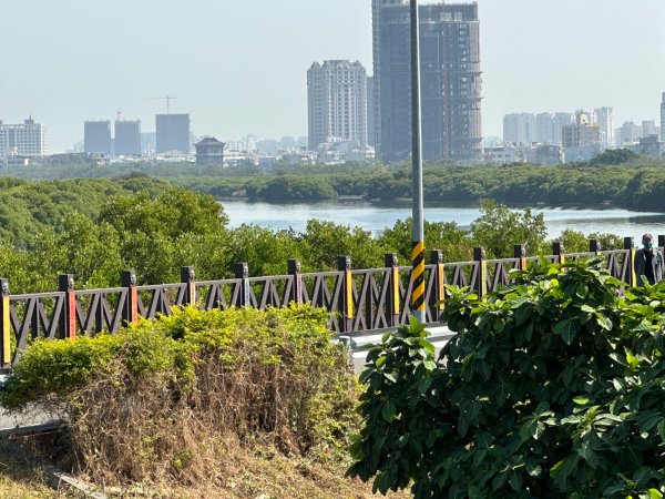 台江鹽田之旅2358417