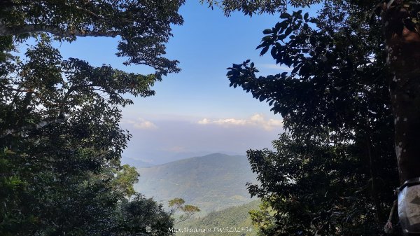 《新竹》斷崖神木｜北得拉曼步道小P繞202510172917495