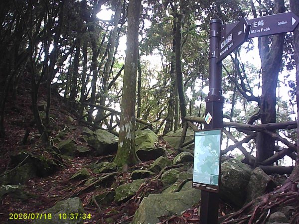 大雪山林道橫嶺山步道、橫嶺山、沙蓮山、笛吹山O繞3090395