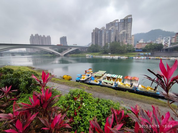 2-2 新店溪左岸自行車道→陽光運動公園→陽光橋→奇蹟公園2690909