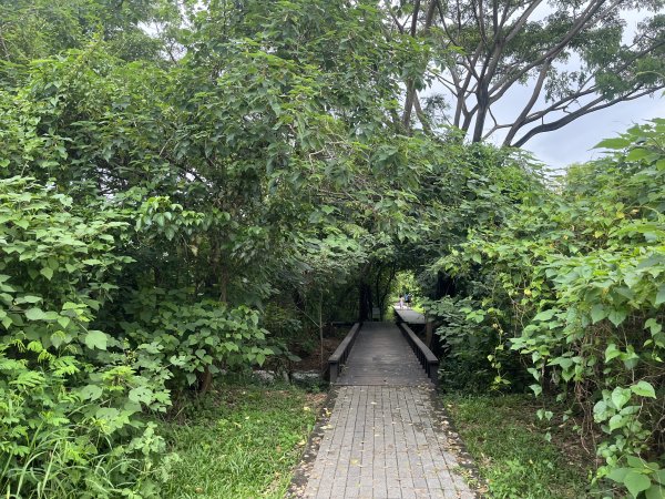 [全臺走路趣尋寶-39/100] 2024_0818_台南市巴克禮公園2577363