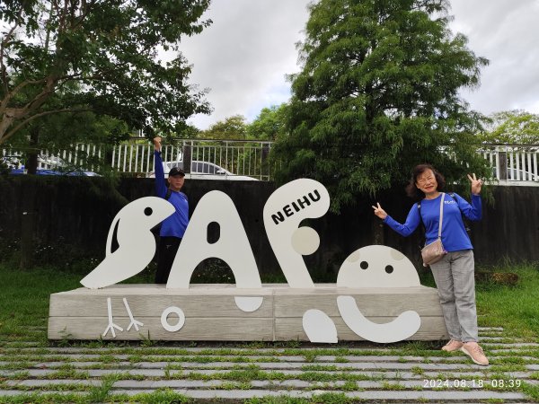 大湖公園→大溝溪生態治水園區→葉姓祖廟→新福本坑→碧湖步道→碧湖公園→宏匯瑞光廣場【臺北大縱走4】2579998