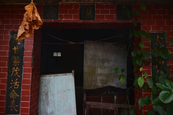 20241231鶯歌尖山-崧嵩嶺-忠義山-鶯歌蛋山-山仔頂山2679966