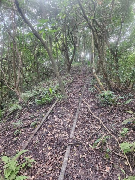 20250105隆盛山-煤渣山-雙溪口山主東峰-排寮尖-十八重溪山2683203