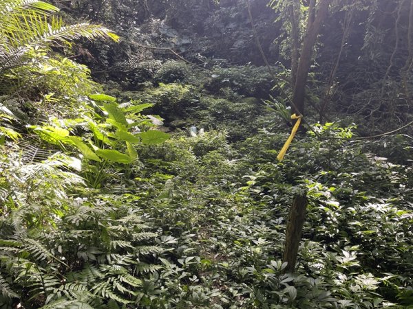 月扇湖大岩壁2952419