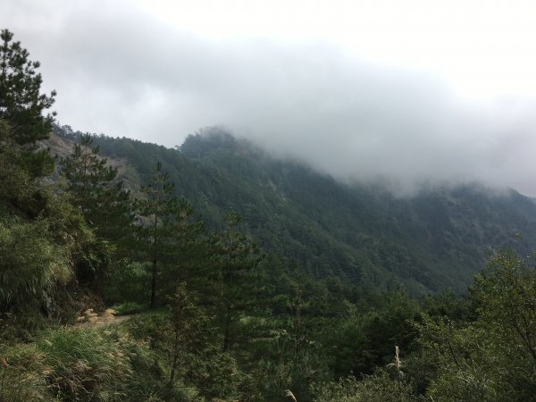 20161109-10_奇萊南華873698