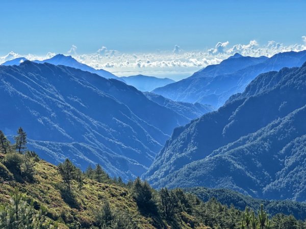 合歡北峰 盛夏之美2544902