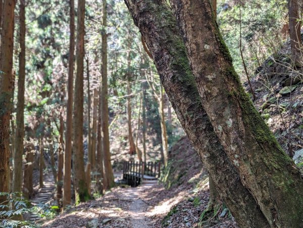 2023.02.25－檜山巨木森林步道2042055