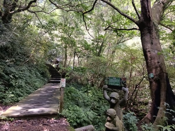 基隆市荖寮坑古道+十分古道(暖東舊道)+頂子寮山(嶺頭土地公)P字走2821493