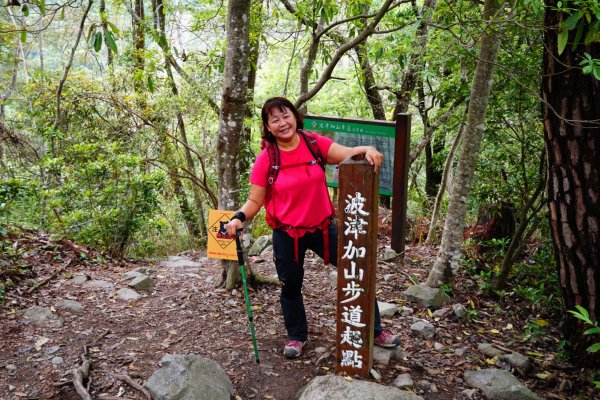 從稍來步道上波津加山有夠累累的啦937952