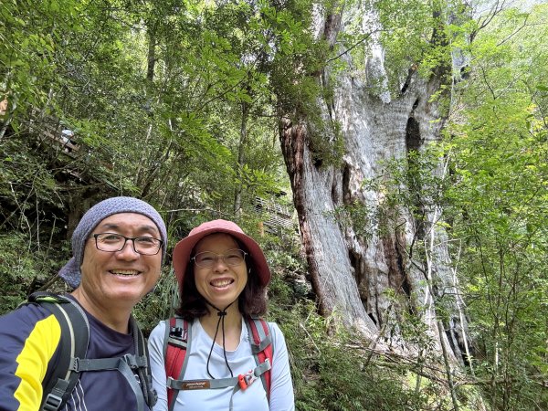 塔曼山 連走 拉拉山森林遊樂區 O繞 202510112923693